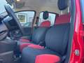 Fiat Panda 1.0 hybrid 70cv Rouge - thumbnail 6