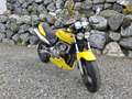 Honda CB 600 Hornet Gelb - thumbnail 2