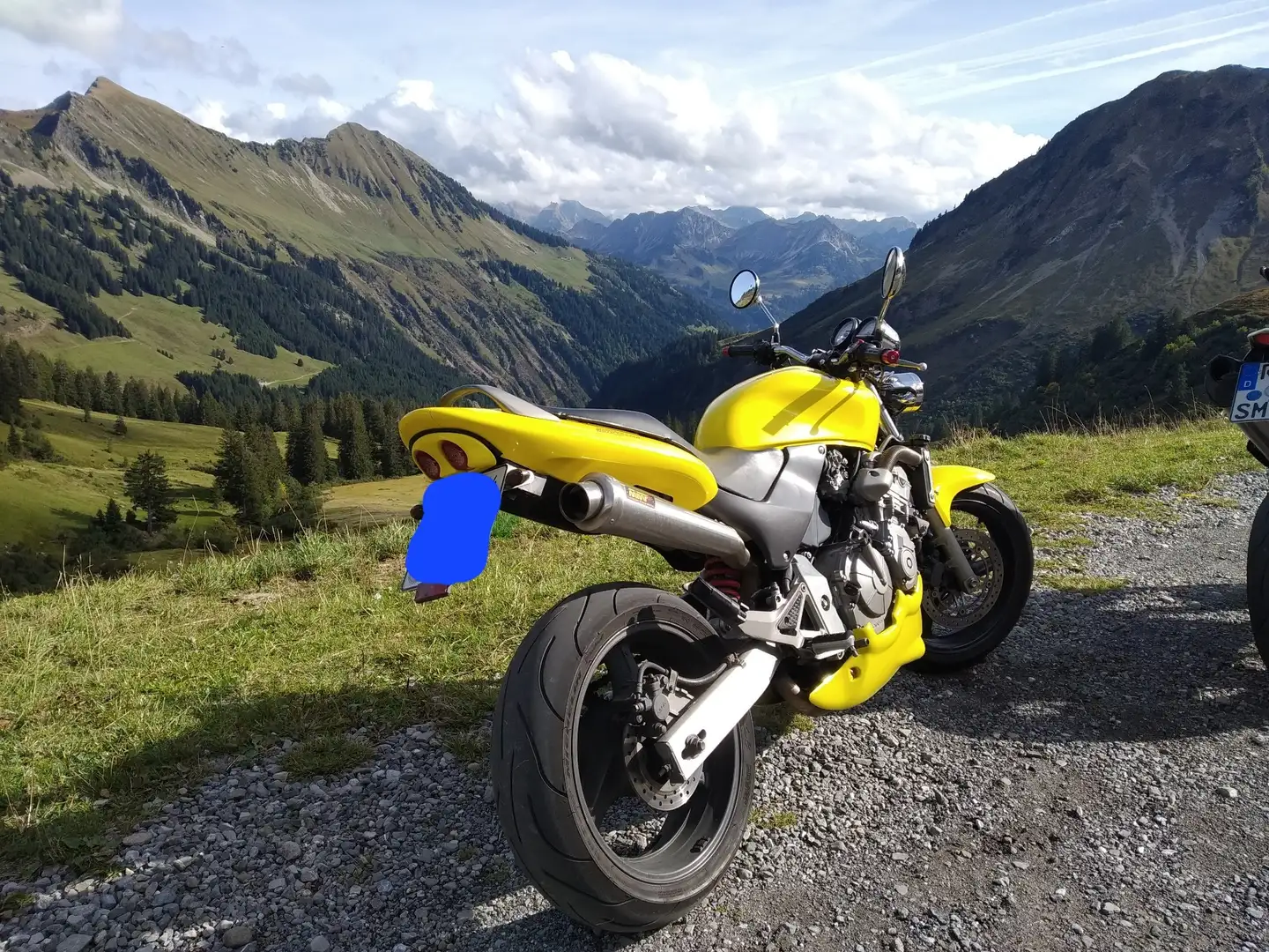 Honda CB 600 Hornet Gelb - 1
