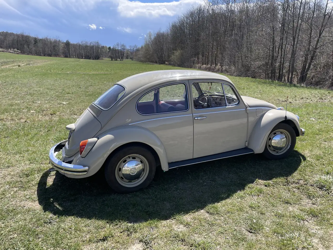 Volkswagen Maggiolino 1.2 Vetro piatto e Cruscotto lamiera, foto 8