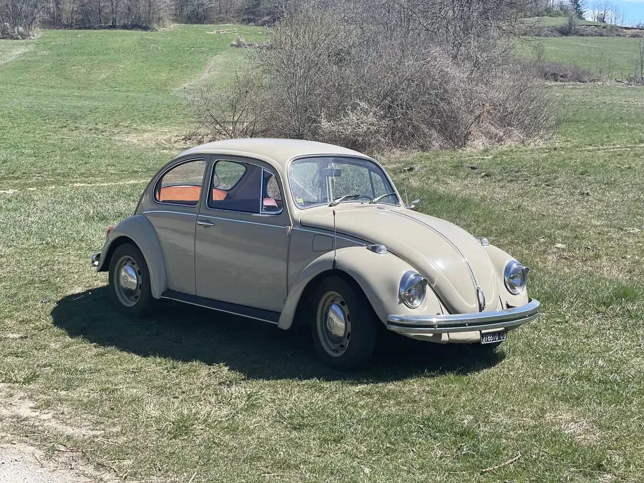 Volkswagen Maggiolino 1.2 Vetro piatto e Cruscotto lamiera, foto 9