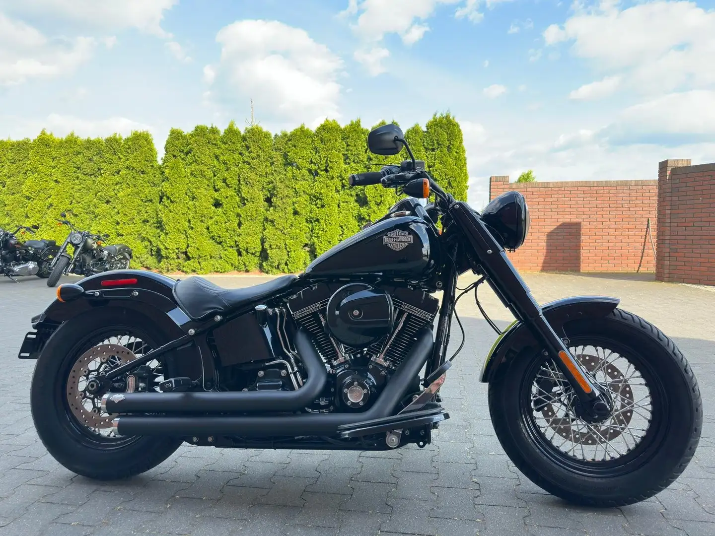 Harley-Davidson Softail Slim Harley-Davidson Slim 110S 2016 Negru - 2