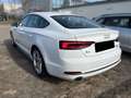 Audi A5 SB 45 TFSI qua. sport 8FACH CARPLAY LED TEMPO Blanco - thumbnail 4