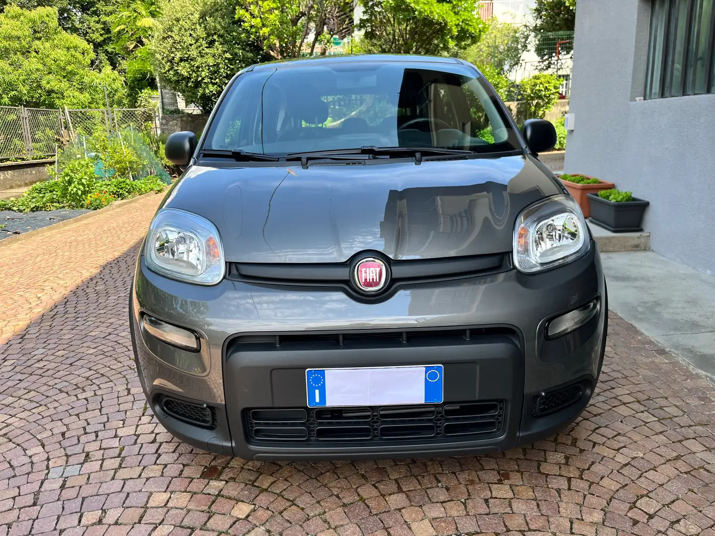 Fiat Panda Panda III 2021 1.0 firefly hybrid Sport s Grigio - 2