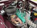 Studebaker Sonstige Commander regal deluxe Rot - thumbnail 15