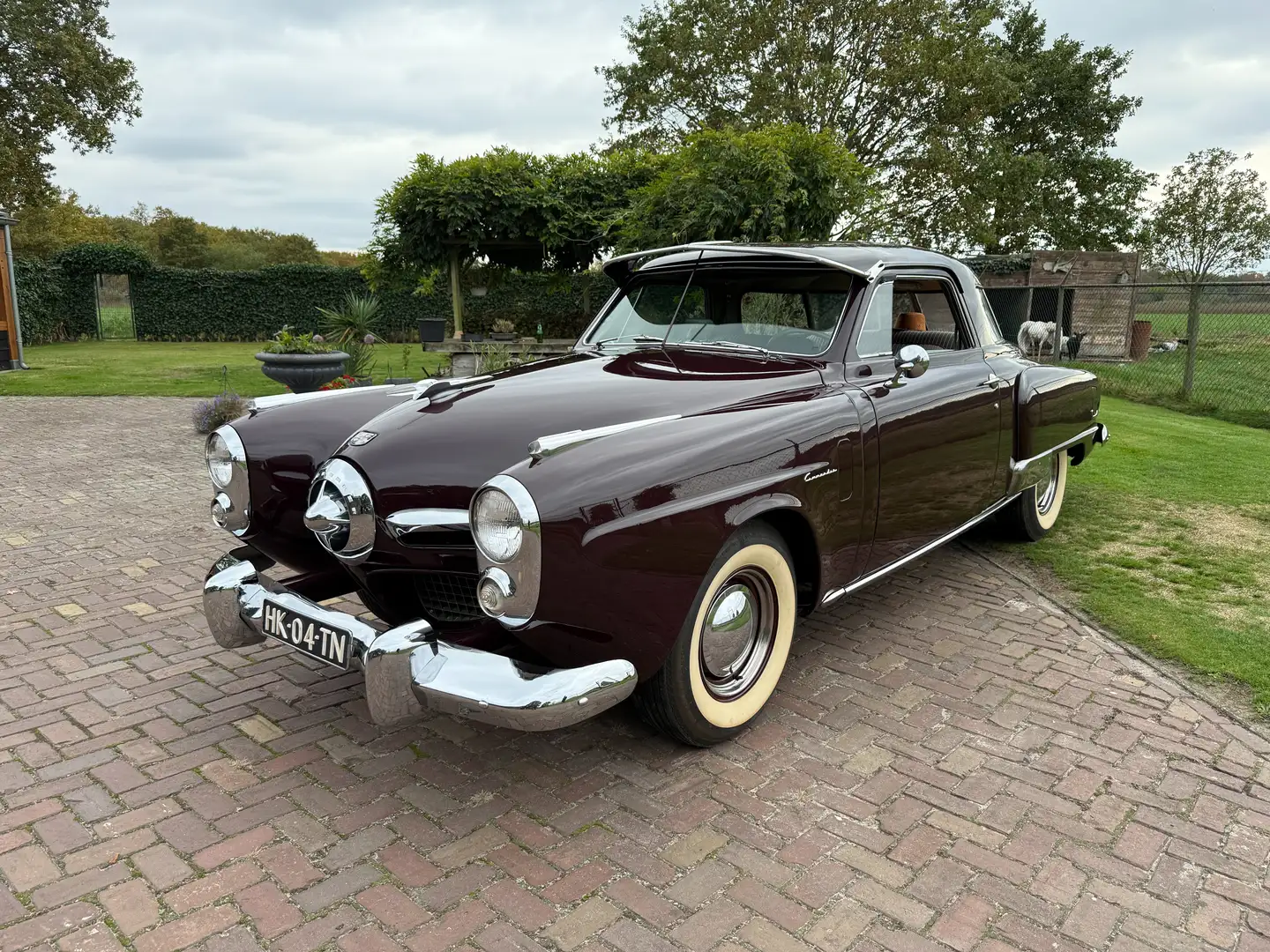 Studebaker Sonstige Commander regal deluxe Rot - 1