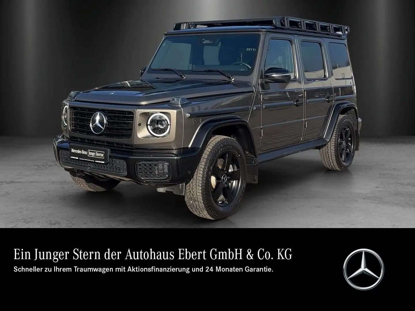 Mercedes-Benz G 450 G450d Professlo SUPERIOR bicolour AHK Dachträger Gris - 1