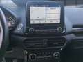 Ford EcoSport Titanium Bluetooth Navi Klima el. Fenster Gris - thumbnail 16