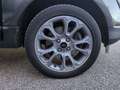 Ford EcoSport Titanium Bluetooth Navi Klima el. Fenster Gris - thumbnail 24