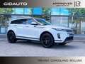 Land Rover Range Rover Evoque Range Rover Evoque 2.0D I4 163 CV AWD Auto | Appr Bianco - thumbnail 1