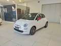 Fiat 500 500 1.0 hybrid (Red) 70cv Red KM0 Weiß - thumbnail 3