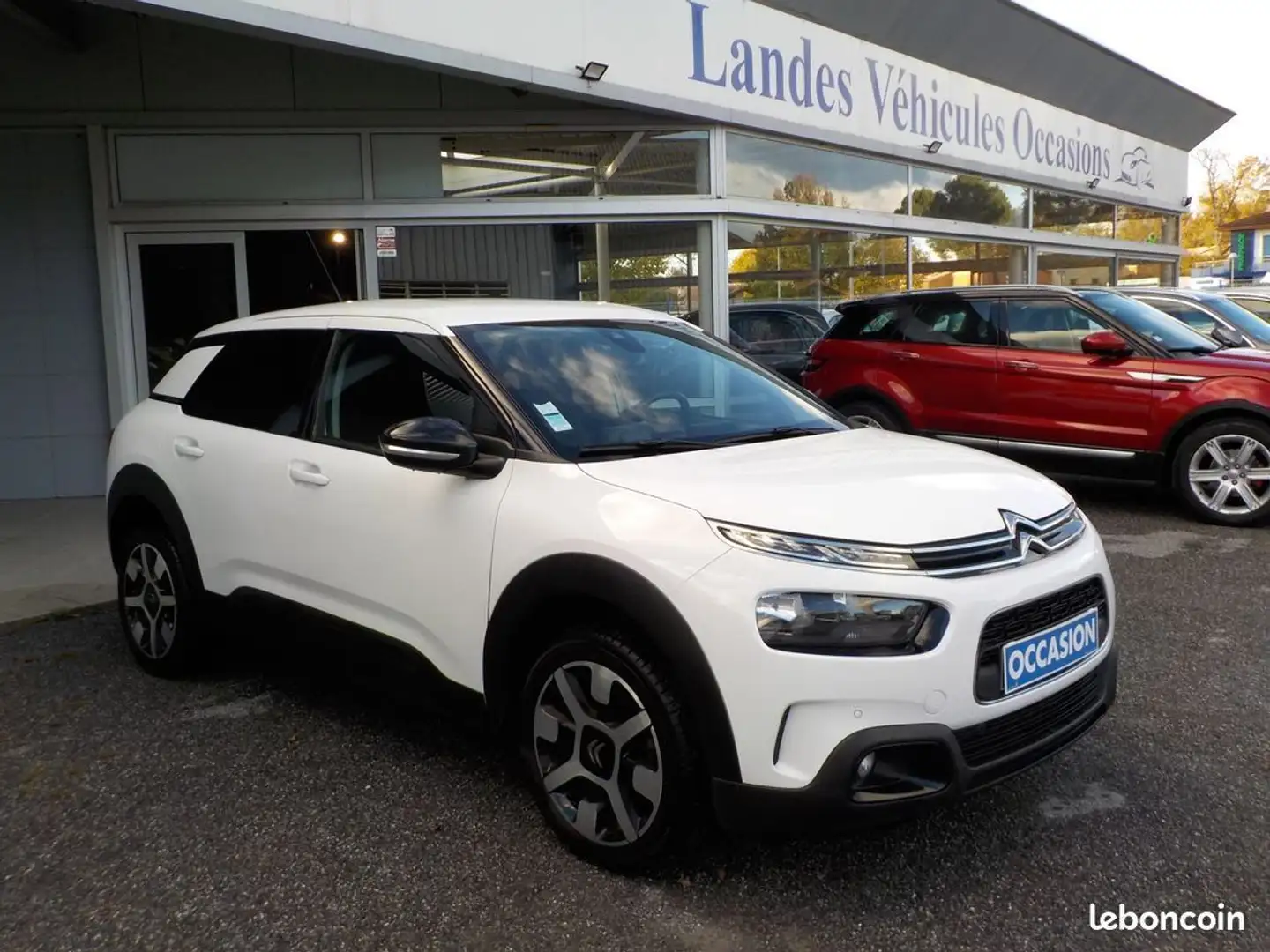 Citroen C4 Cactus (2) 1.6 BlueHDI 100 S&S SHINE Wit - 2