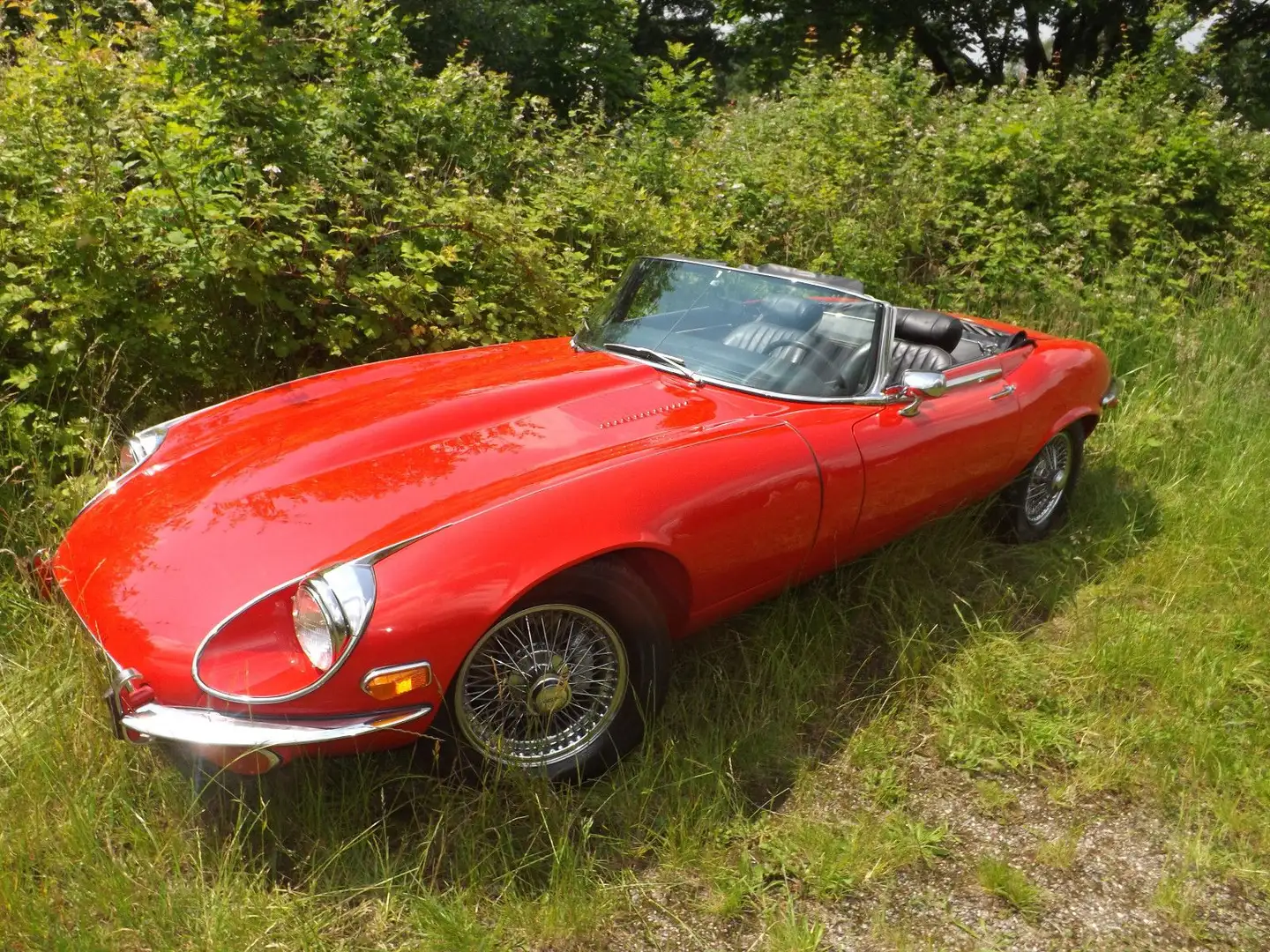 Jaguar E-Type Cabriolet - fast wie ein Neuwagen! Rot - 1
