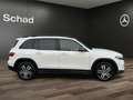 Mercedes-Benz EQB 350 EQB 350 4M ELECTRIC ART+PANO+DISTR+LED+KAM+SOUND Blanc - thumbnail 4