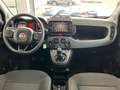 Fiat Panda CITY CROSS 1.0 benzine | 2 JAAR FIAT WAARBORG! Gris - thumbnail 6