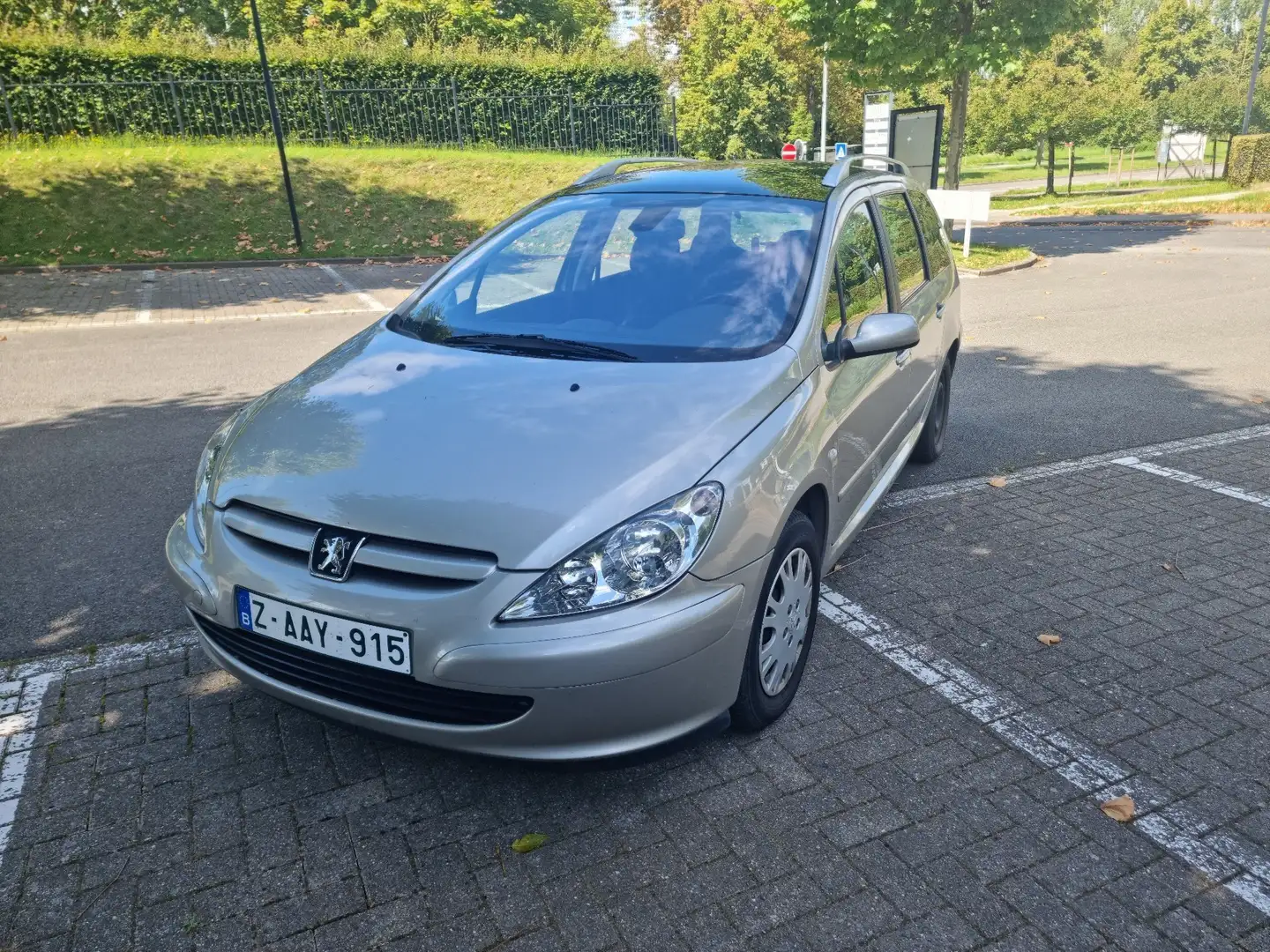 Peugeot 207 1.6i siva - 1