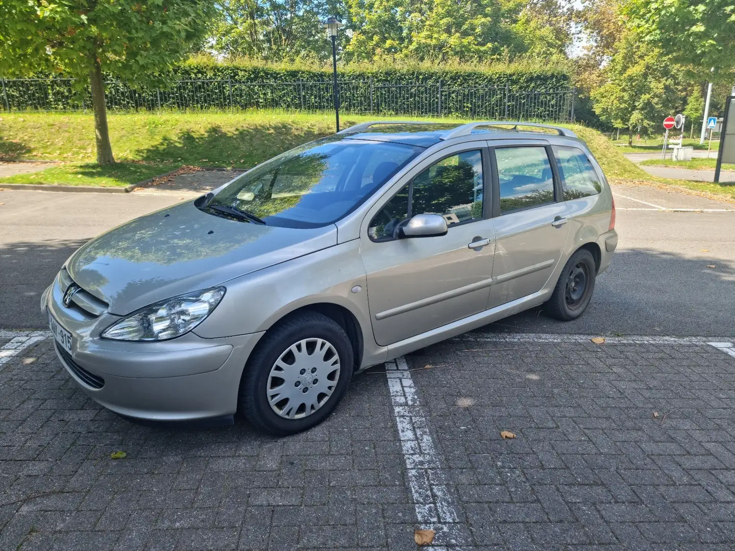 Peugeot 207 1.6i Grau - 2