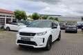 Land Rover Discovery Sport R-Dynamic SE 4WD,Leder,Navi,LED, Bianco - thumbnail 6