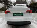 Tesla Model Y Long Range Dual AWD Weiß - thumbnail 6