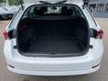 Skoda Octavia Combi Clever 2.0 TDI DSG *NAVI*PANODACH* Weiß - thumbnail 12