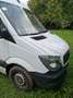 Mercedes-Benz Sprinter 316 NGT 906.133 Aut. - thumbnail 11