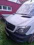 Mercedes-Benz Sprinter 316 NGT 906.133 Aut. - thumbnail 13