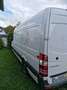 Mercedes-Benz Sprinter 316 NGT 906.133 Aut. - thumbnail 14