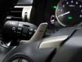 Lexus IS 300 300h First Edition | Parkeersensoren | Keyless | H Grau - thumbnail 28