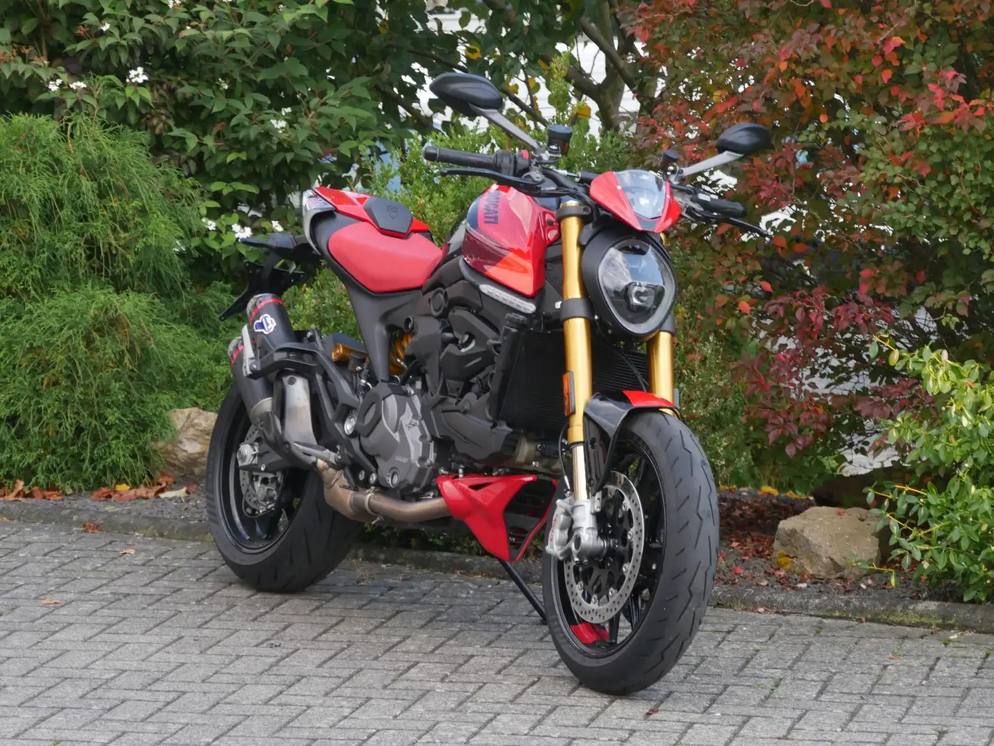 Ducati Інші Monster SP Червоний - 1
