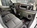 Ford Transit Transit Kasten 2,0 EcoBlue L2H2 310 Trend Weiß - thumbnail 10