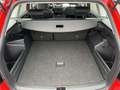 Skoda Fabia Fabia Combi Ambition 1,0 TSI Ambition Rot - thumbnail 11