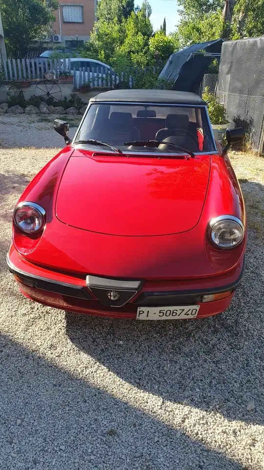 Alfa Romeo Quadrifoglio pelle nera, foto 4
