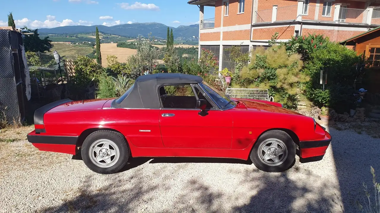 Alfa Romeo Quadrifoglio pelle nera, foto 2