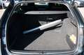 Skoda Octavia Combi First Edition/1 HAND/PDC/TOP/LED/ Grau - thumbnail 15