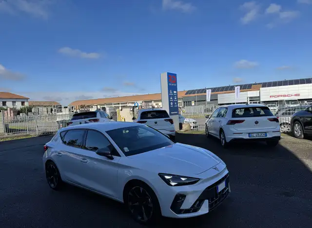 CUPRA Leon 2.0 tdi 150cv dsg / NO VINCOLI