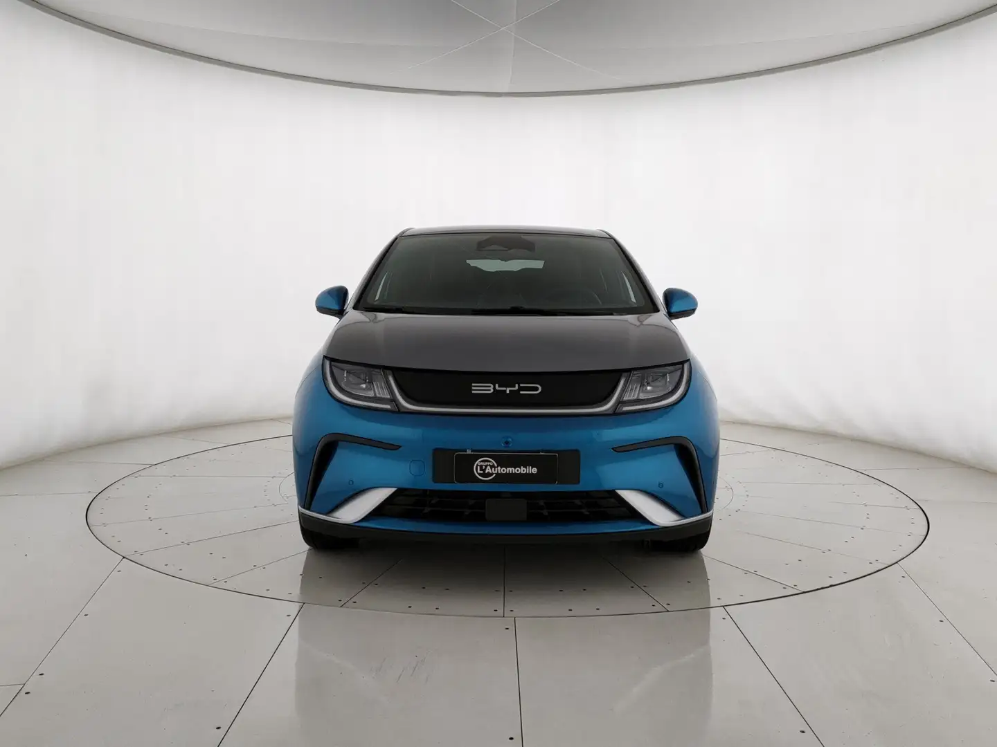 BYD Dolphin design Albastru - 2
