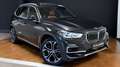 BMW X5 xDrive30d Grau - thumbnail 1