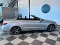 Mercedes-Benz E 250 Cabrio 250BlueTec 9G-Tronic Gris - thumbnail 7
