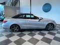Mercedes-Benz E 250 Cabrio 250BlueTec 9G-Tronic Gris - thumbnail 11