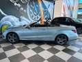 Mercedes-Benz E 250 Cabrio 250BlueTec 9G-Tronic Gris - thumbnail 8