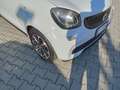 smart Sonstige youngster - thumbnail 9