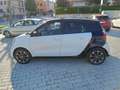 smart Sonstige youngster - thumbnail 13