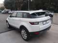 Land Rover Range Rover Evoque 2.0 TD4 150 CV 5p. HSE Dynamic Blanc - thumbnail 7