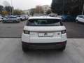Land Rover Range Rover Evoque 2.0 TD4 150 CV 5p. HSE Dynamic Blanc - thumbnail 6
