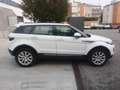 Land Rover Range Rover Evoque 2.0 TD4 150 CV 5p. HSE Dynamic Blanc - thumbnail 4