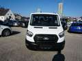 Ford Transit Pritsche Doka 2,0 Ecoblue L2H1 350 Trend *2025er+ Weiß - thumbnail 2