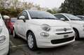 Fiat 500 1.0 FireFly Hybrid Cult Blanc - thumbnail 1
