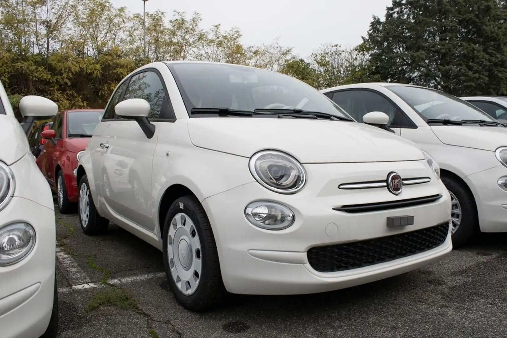 Fiat 500 1.0 FireFly Hybrid Cult Blanc - 1