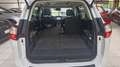 Ford C-Max Titanium Weiß - thumbnail 18