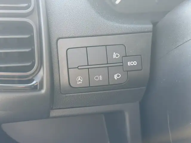 Fiat Ducato view 12